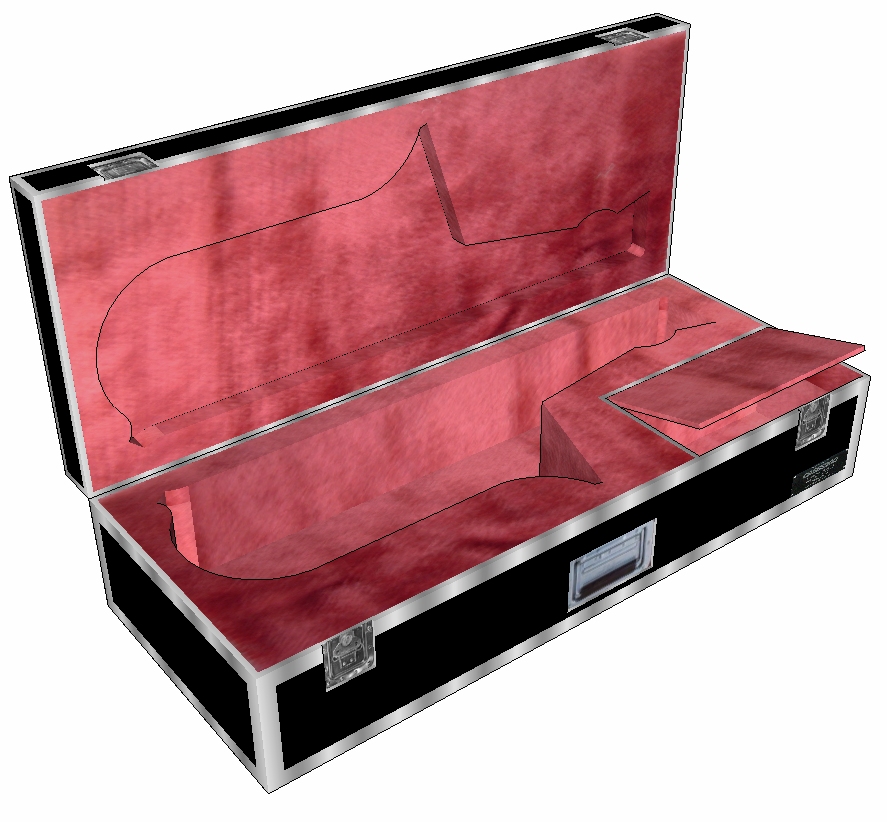 Anvil guitar deals flight case